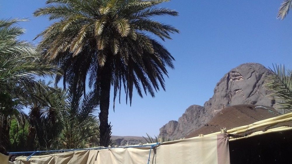 Auberge Restaurant Tissili " Oasis De Fint" Экстерьер фото